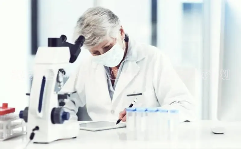 伟德bv1946官方网站